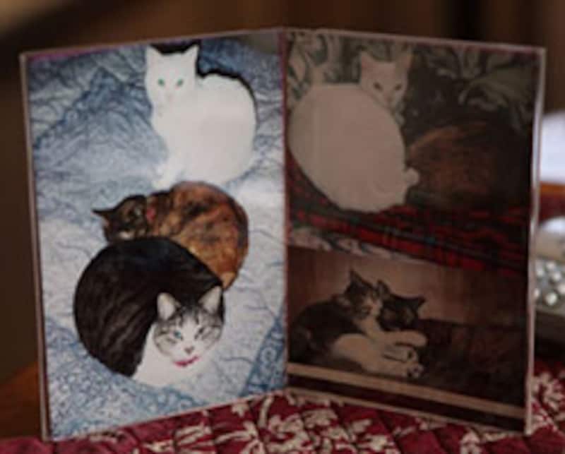 上から、シロちゃん、オタマちゃん、タビちゃん