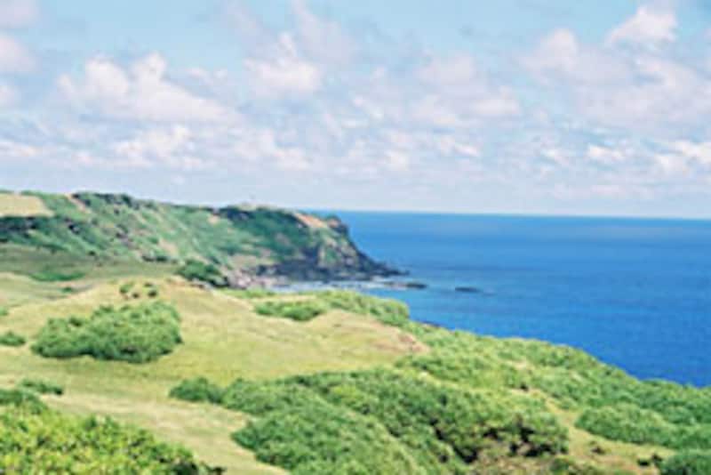 ドラマでおなじみかな？