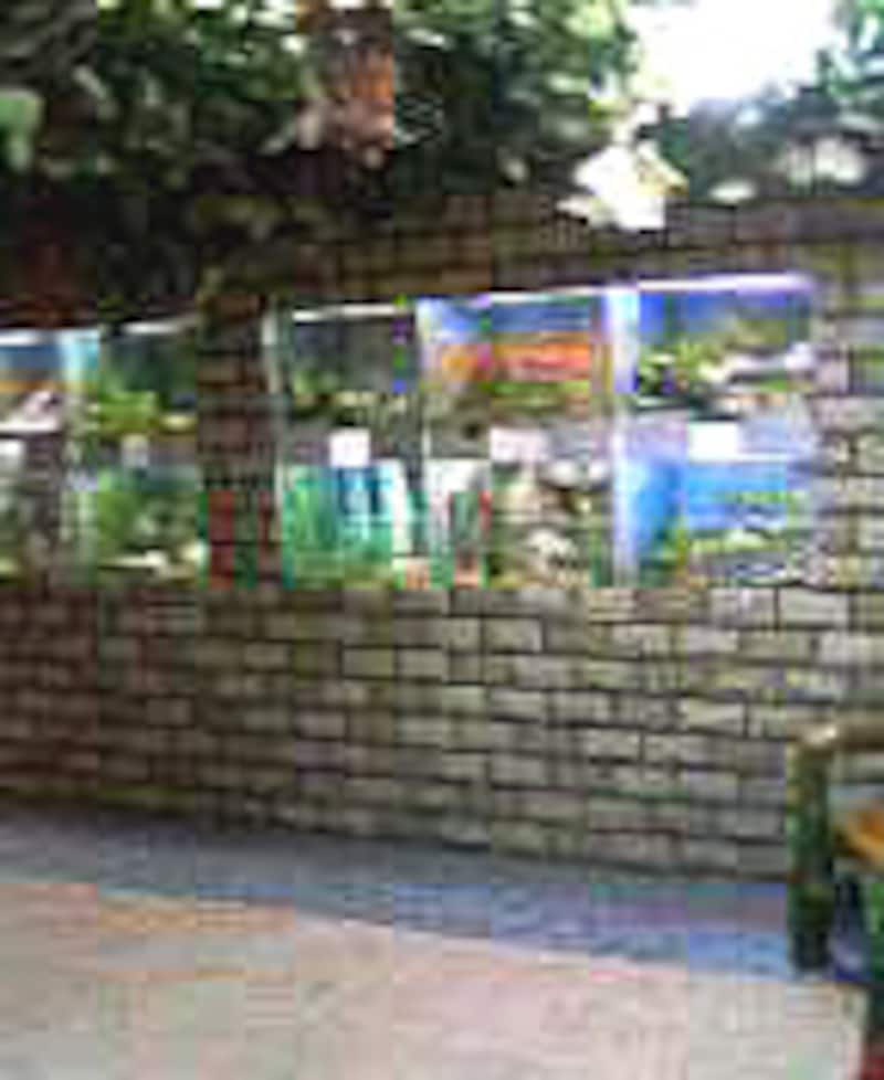 こんななのが４つくらいある