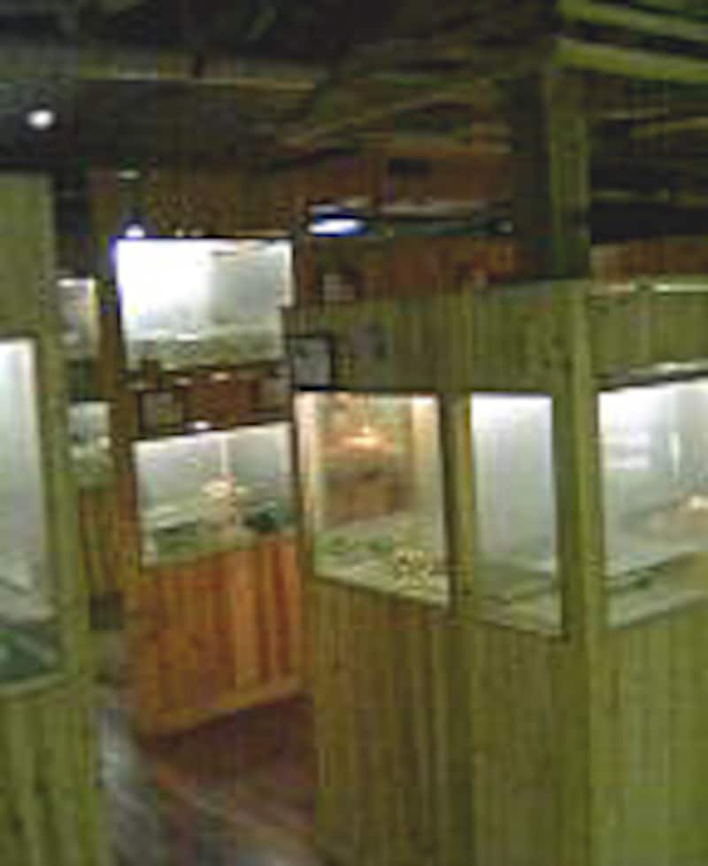 雰囲気わかってもらえるかなぁ...