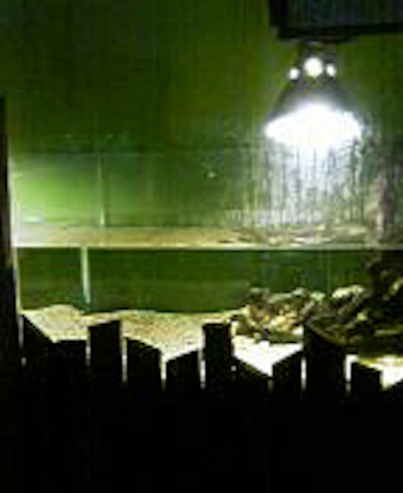 非常に正常な展示