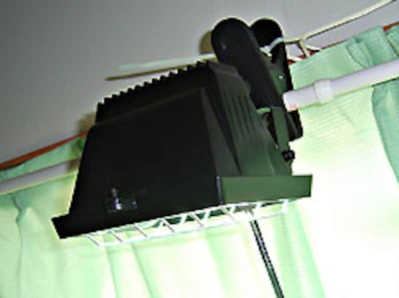 「Rex UV 70」(TFWインターナショナル)<br>