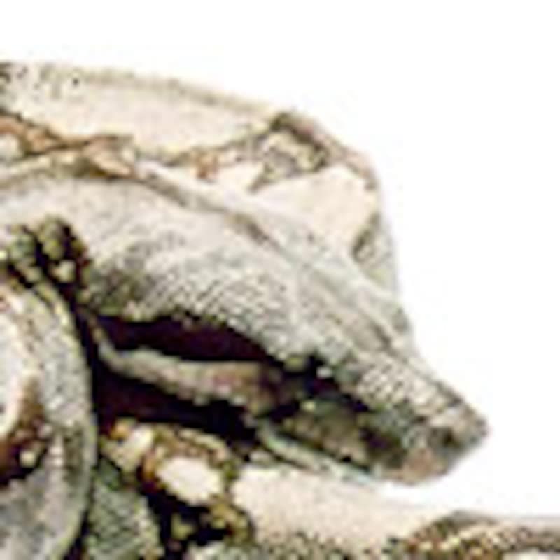 ボアコン・インペラトール