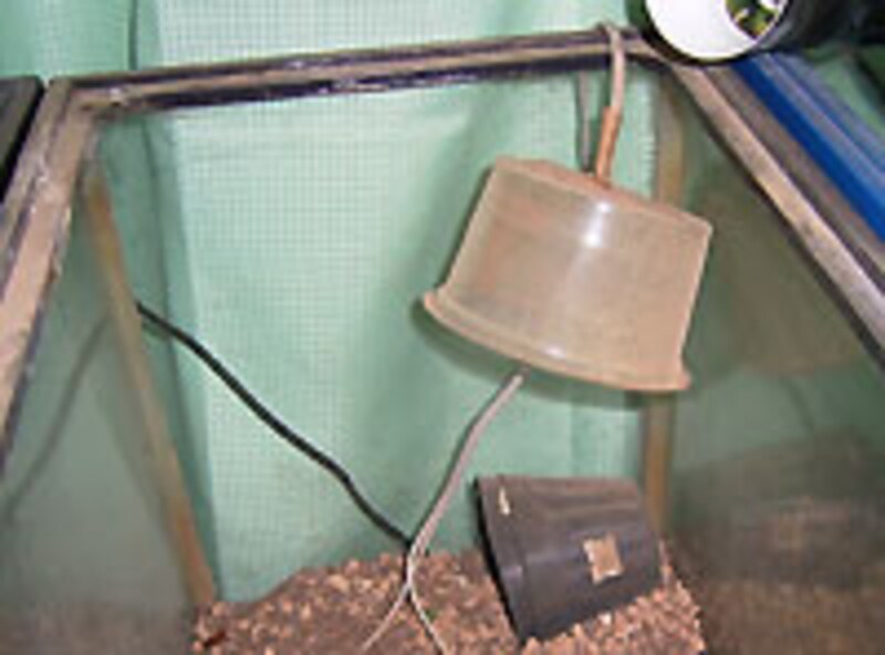 もはや人に見せられる代物ではない