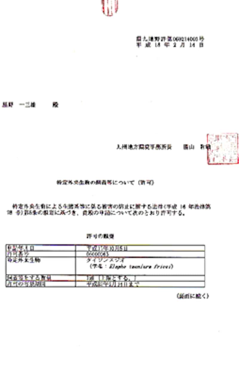 私にとっては宝物