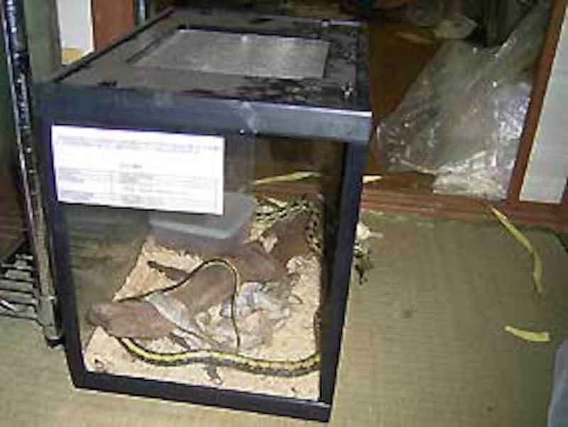 後ろが汚いのはご愛敬...