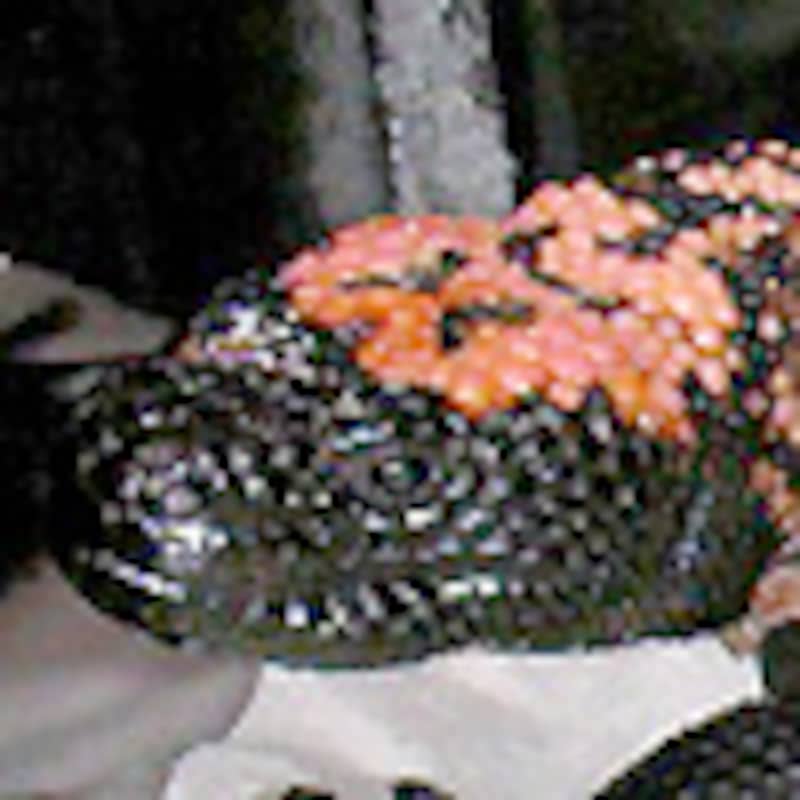 アメリカドクトカゲ