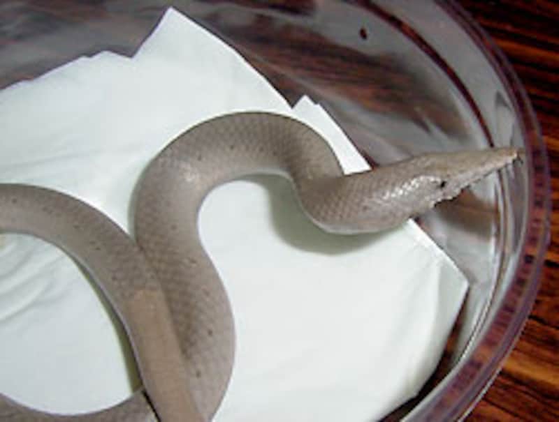 モニターは良い写真が撮りにくいですので