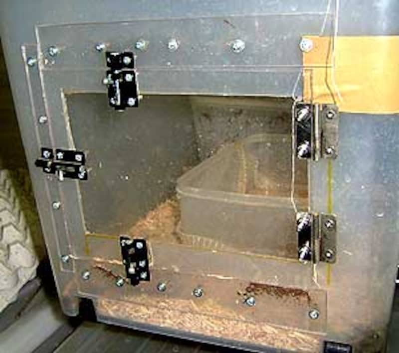 しかし本っ当に汚い