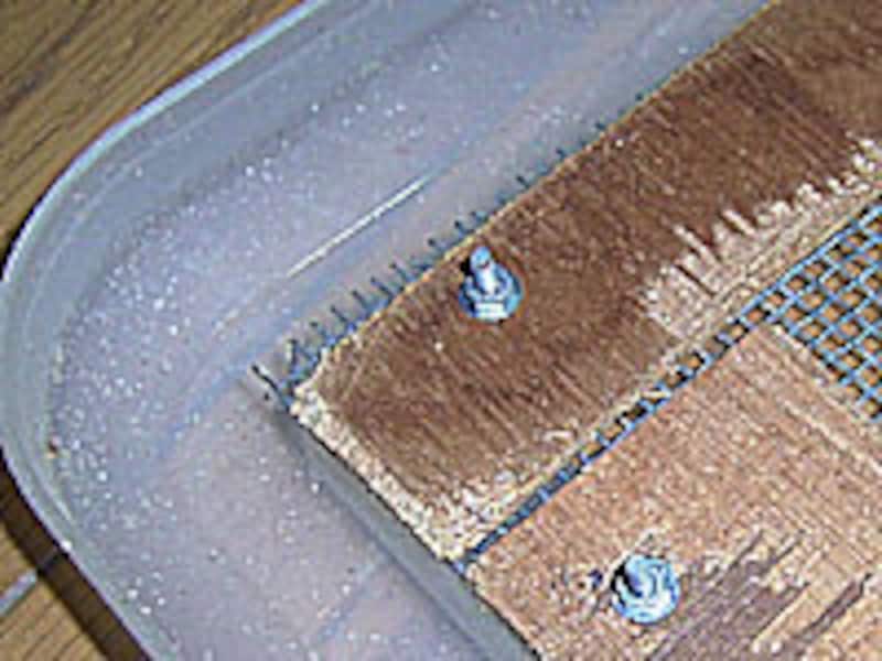 白い粉みたいに見えるのは...