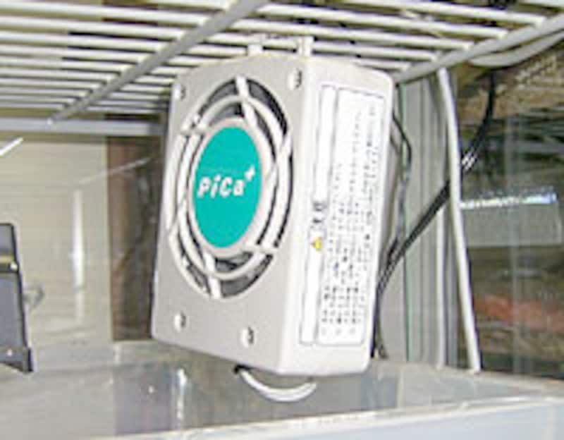 そよ風が温室内に吹いています