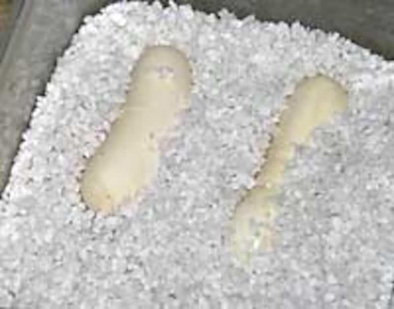 これぞ本当のレビュー