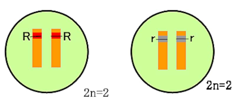 今回も頑張りました!!