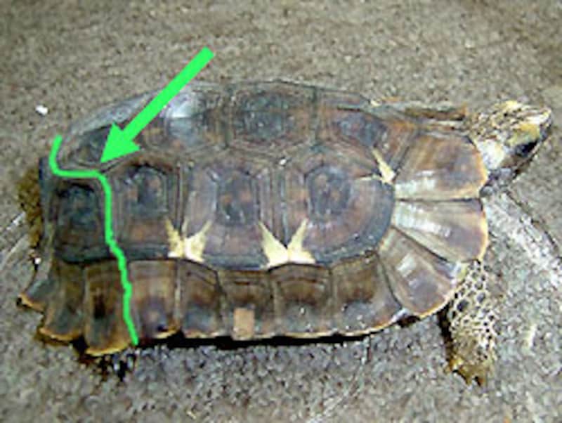 この写真も使い回しか...