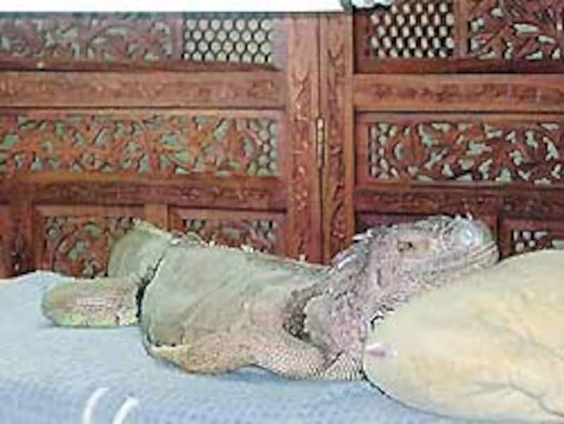 なんとなくこんな写真を