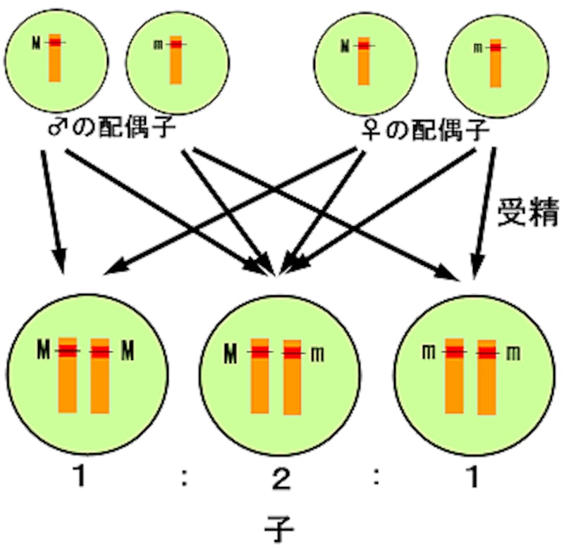 もうやめたい．．．
