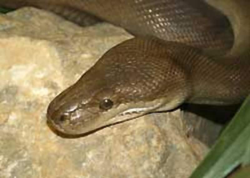 地味っちゃあ、地味