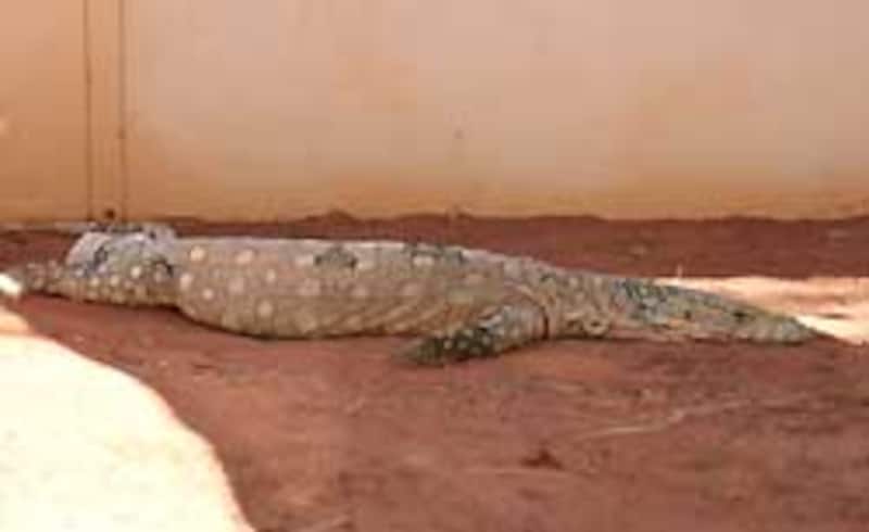 ...起きろーーーーーっ!!!!