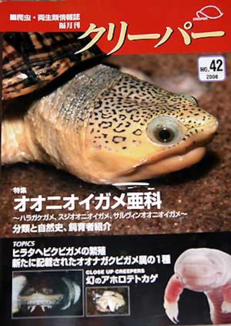 爬虫類両生類情報誌 クリーパー 創刊号 - 雑誌
