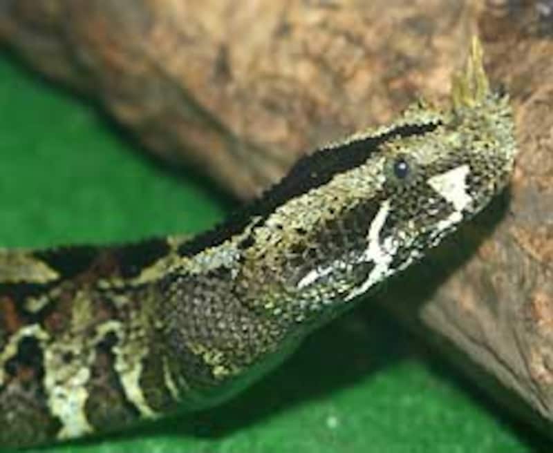 これは．．．カッコ良すぎ