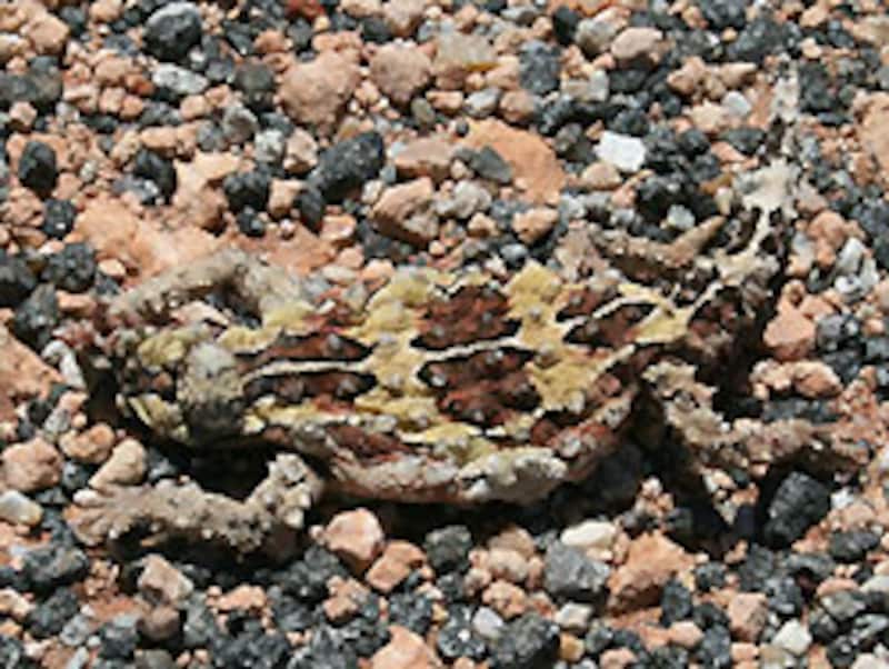 ま、こんな写真でも見ていってくださいな