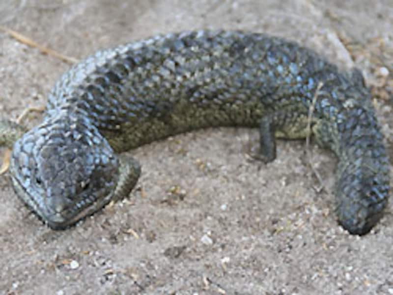 もう、何も言葉は要りません