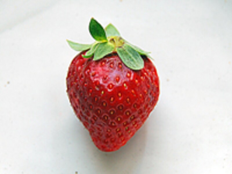 よいいちごの選び方。