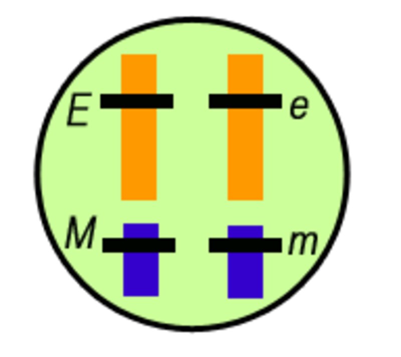 久しぶりでビミョーにフォーマットが異なるな...