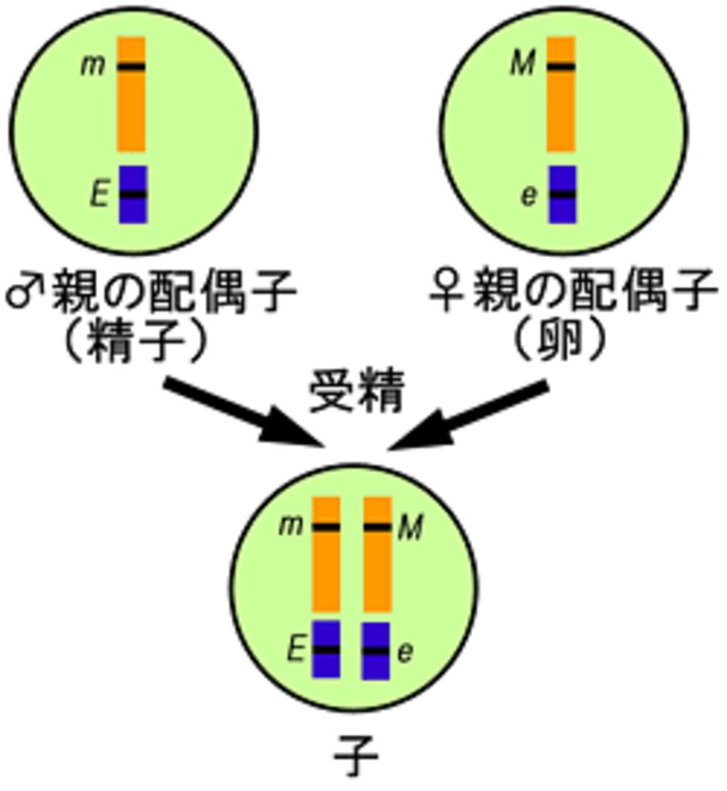 そろそろ疲れてくる...