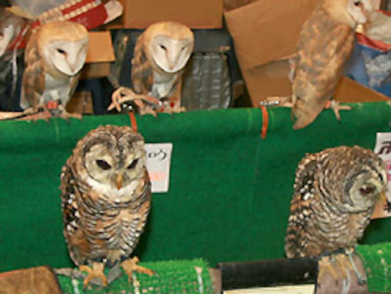 触られまくってお疲れ様