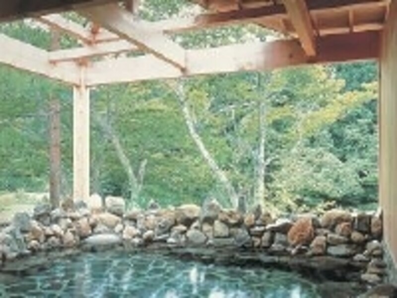 自然以外に何もないのが最高の贅沢。ありのままの自然を感じられる露天風呂