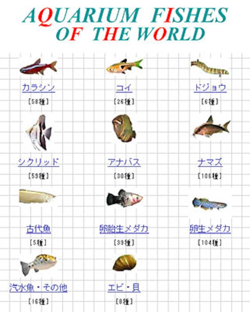 熱帯魚オンライン図鑑