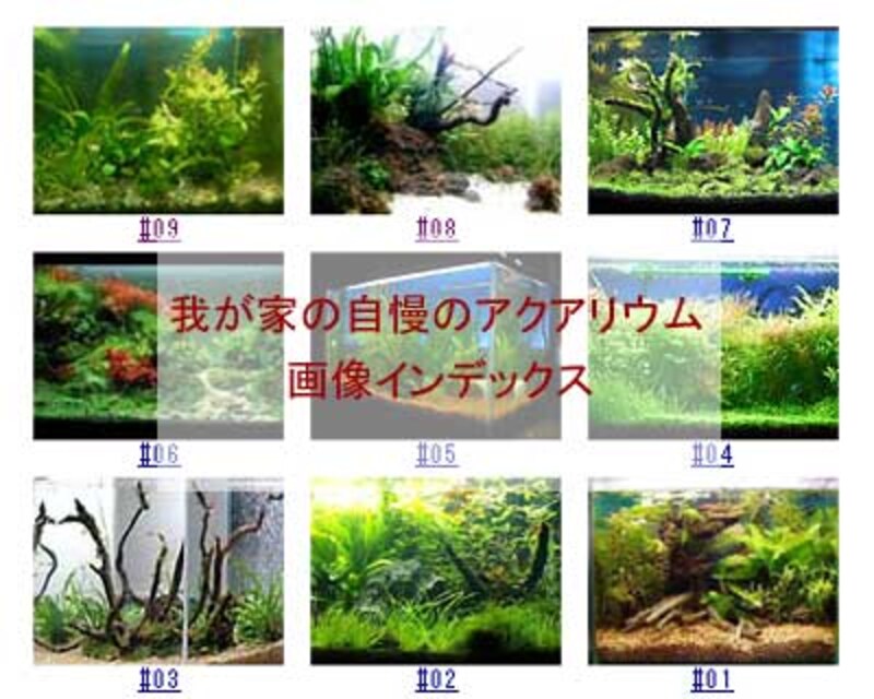 我が家の自慢のアクアリウム