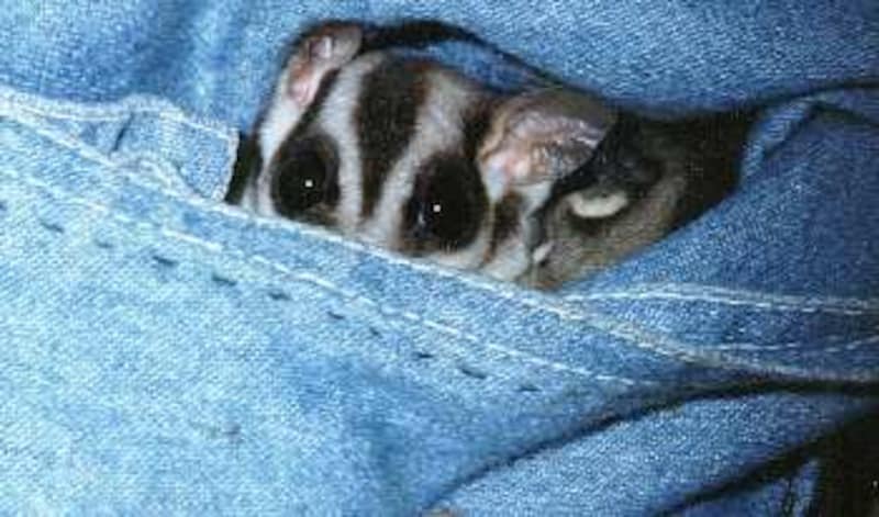 ポーチから出ることなど無いかと思いもしました