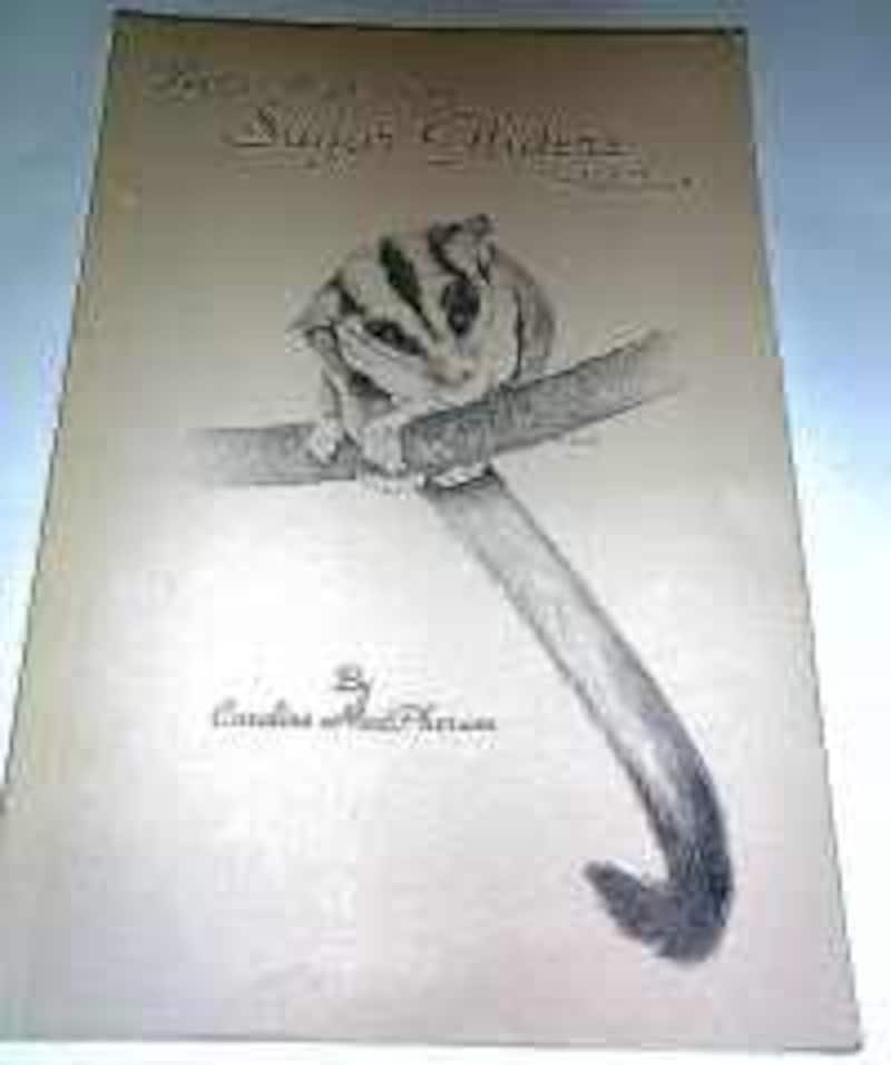 フクロモモンガ