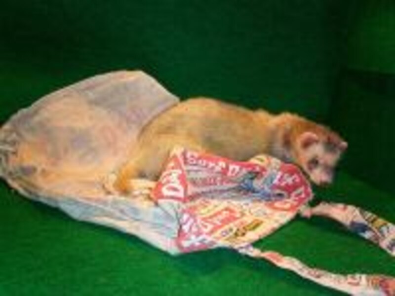 ライトとフラッシュ