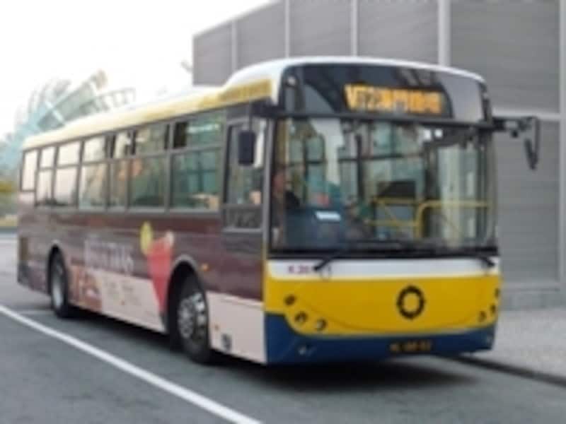 黄色と藍色のツートンカラーが目印の「新福利（Transmac）」路線バス