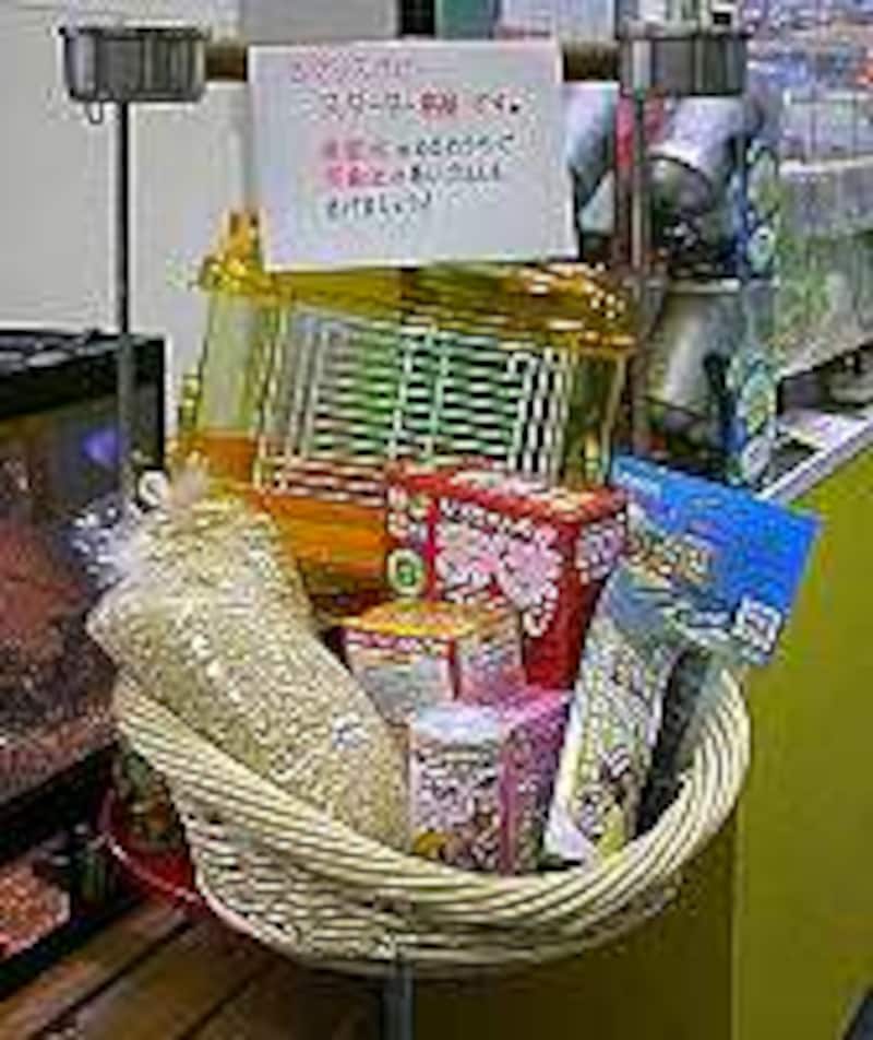 シマリス飼育セット