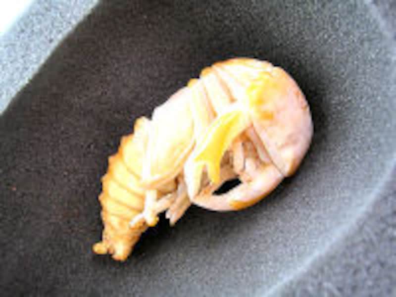 オオクワガタのさなぎ（頭を前に倒しているような形になっています）