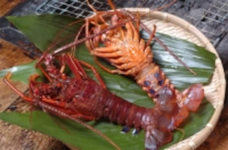 伊勢海老の干物(ひもの万宝)