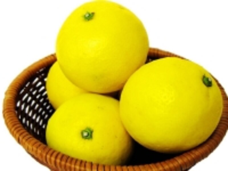 ニューサマーオレンジ