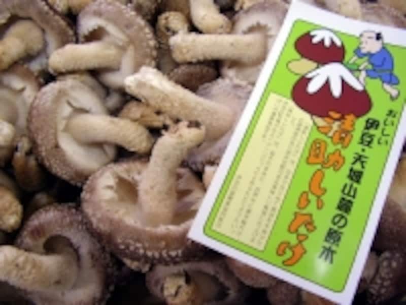 肉厚の極上しいたけ