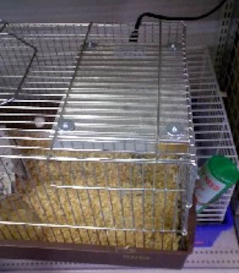 天井取り付け型ヒーター