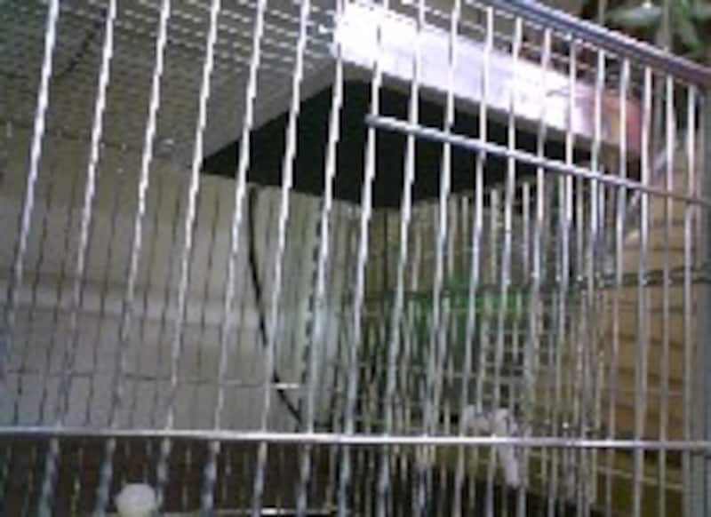 天井取り付け型ヒーター