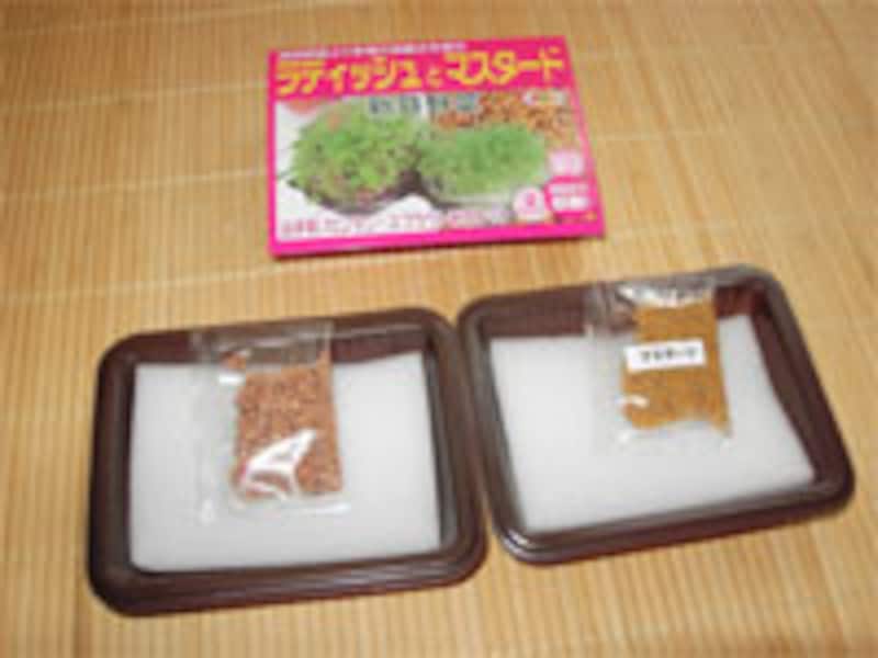 スプラウト育成キット
