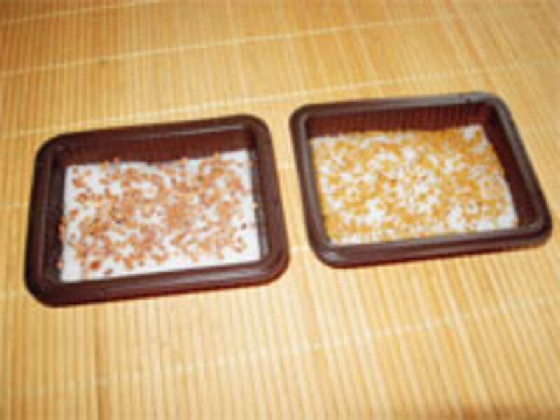 一日目成長記録