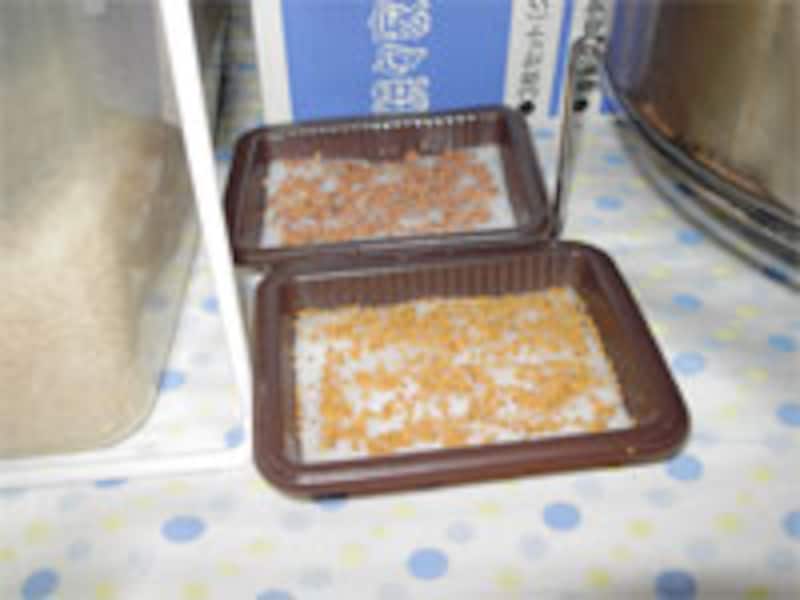 一日目成長記録