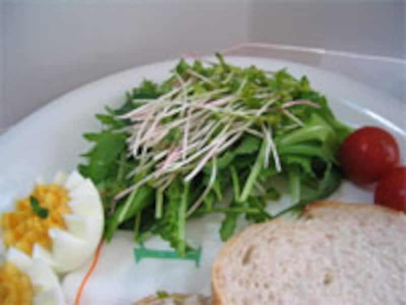 ベビーリーフとラディッシュスプラウトのグリーンサラダ