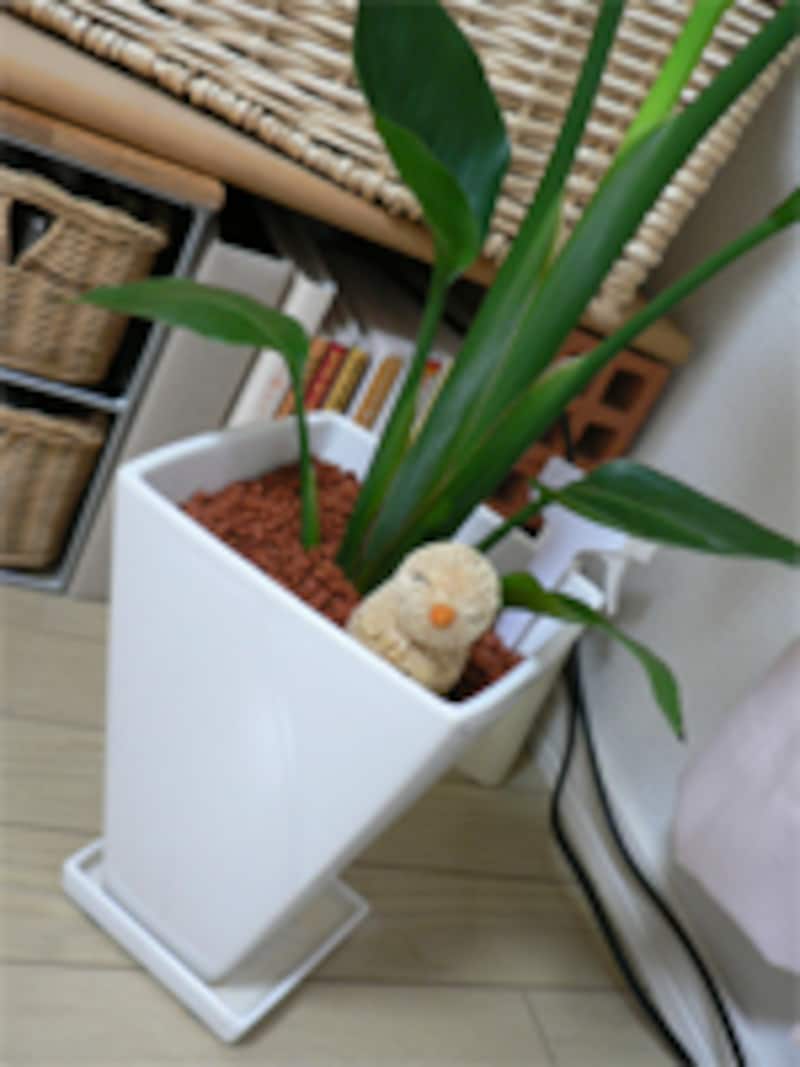 ドアフック2個セット