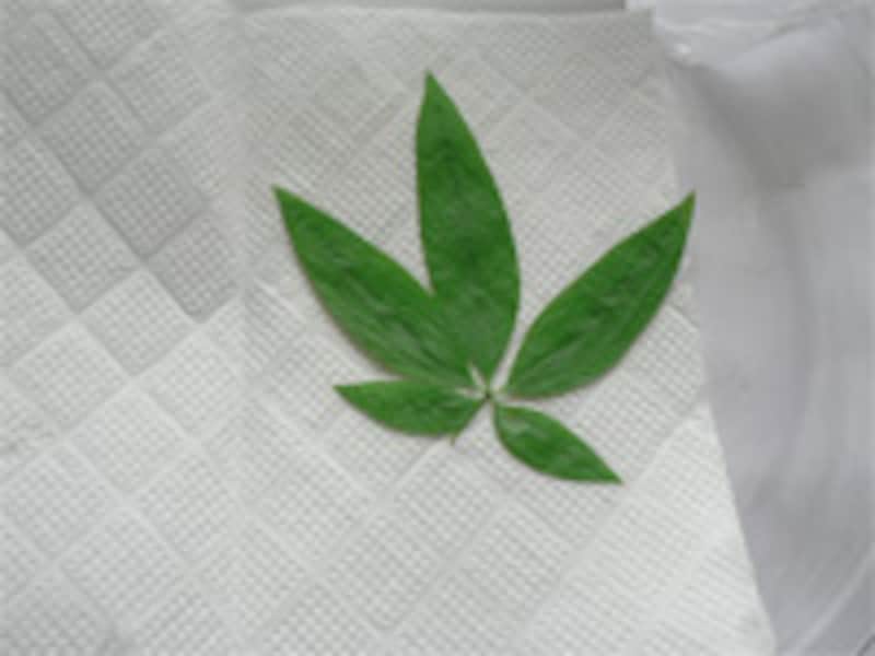 葉っぱを取り出す